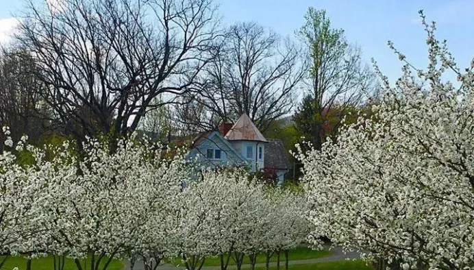 Washington Virginia